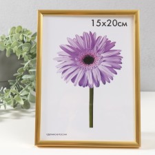 Photo frame plastic LIDA 15x20 cm gold