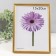 Photo frame plastic LIDA 15x20 cm gold