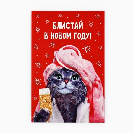 Postcard "Blistgy in the new year!", Kotchka, 10 x 15 cm, New Year