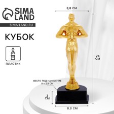 The award figure is male, Oscar, the plastic stand is black, 24 x 8.8 x 8.8 cm.