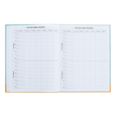 Diary for grades 5-11 "Back to school. Coat of arms", solid cover, glossy lamination, 48 sheets-5