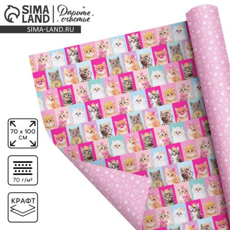 Two -sided craft packaging paper "cats", 70 x 100 cm
