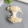 Stamens for flowers "Drops Milk" D = 1.5 mm set 400 pcs length 6 cm