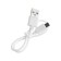 Sports headphones Wi-H700, wireless, vacuum, WT 4.2, microphone, 100 mAh, blue