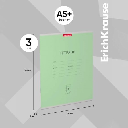Notebook of 12 sheets in the Erichkrause Class "Classic", cover coated cardboard, offset block, green-3
