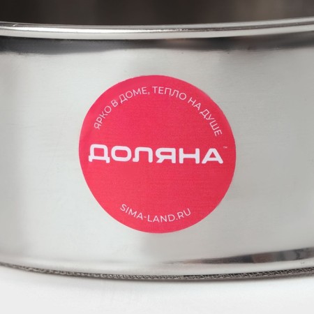 Sito Dolyana "Metallic", D = 24 cm-4