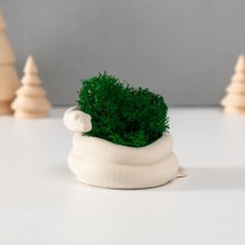 Souvenir mini 