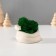 Souvenir mini "snake" twisted with moss white 7x6x4 cm (moss green stabil)