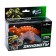 Dinobot robot, transforms