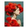 Picture on the numbers "beautiful poppies", on cardboard 20 × 28.5 cm