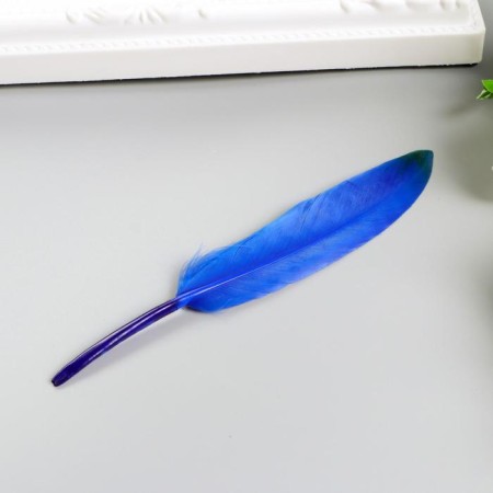 Decorative straight feathers, 10-15 cm (set 24 pcs) 6 colors, two-tone, assorted-2