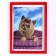 Set for creativity "Artistic embroidery with smooth stitch. Dog "with a frame