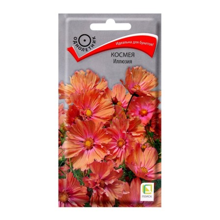 Flowers Cosmea Illusion, 10pcs