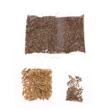 Set for experiments "My mini-garden: pony", grow grass-5