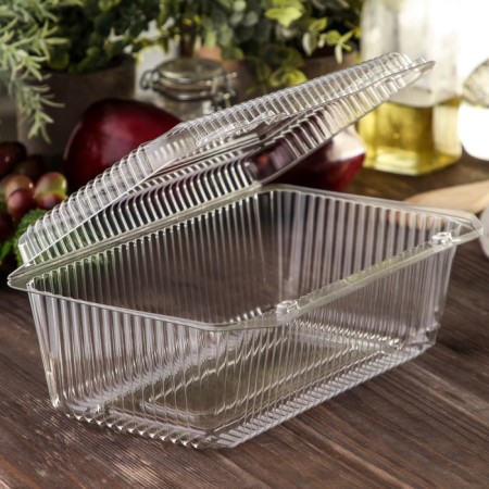 The plastic disposable container with an insoluble lid pr-K-29, 500 ml, 24.8 × 15.2 × 9.2 cm, the color is transparent-1