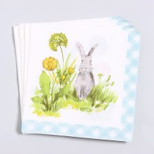 Paper Napkins 
