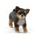 Game set "Manege for puppies"