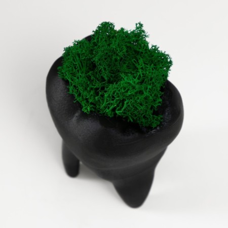 Concrete Kashpo "tooth" with moss black 7.5x6.5x9.5 cm (moss green stabilized)-4