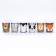 A set of paper glasses "Happy ZOO", 6 pieces, 250 ml