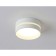 Ambrella Light, IP Protect, TN5391, GX53, white, white matte color