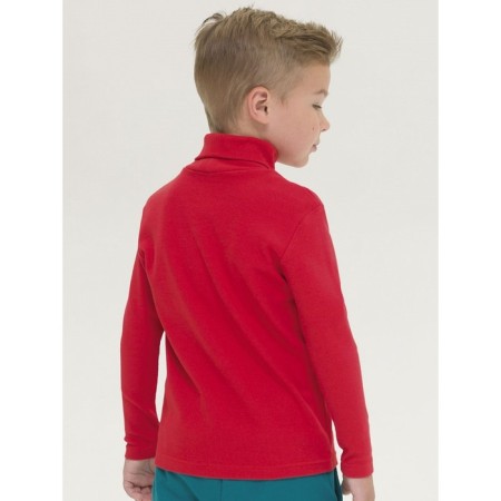 Turtleneck for the boy Pelican, height 98 cm, red color-2