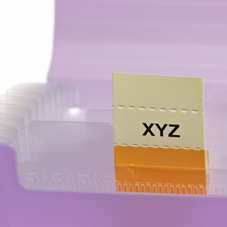 A65 elastic band, 12 departments, patterns, purple pastel-4
