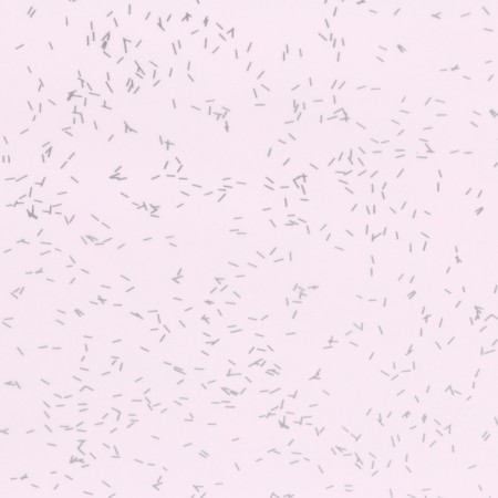 Flower film, Star Sky, Pink, 57x57 cm-2