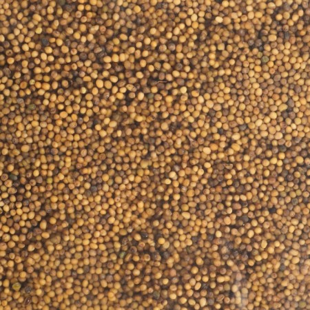 Seeds mustard, my choice, 3 kg-4