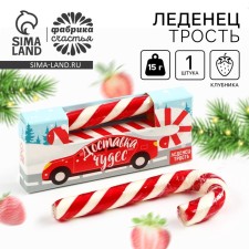 New Year! Lollice - cane 