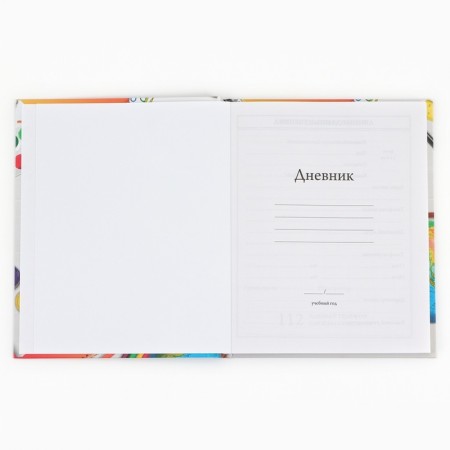 School Diary 1-4 class, in a solid cover, 48 liters "September 1: objects"-2