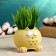 Pot "Girlfriend owl" yellow, 9.5x10x7cm