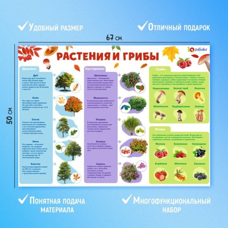 Training posters "for training at school"-2