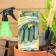 Cucumber seeds "Barabulka", F1, 10 pcs.