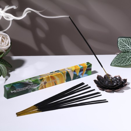 Incense "Charm of East Ilang-Ylang", 20 sticks in packaging