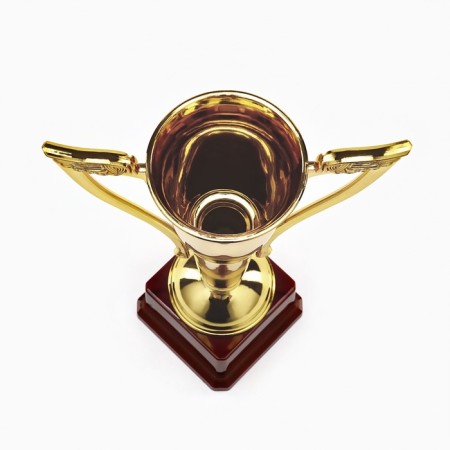 Cup 181b, award figure, gold, plastic stand, 28 × 14 × 7 cm-5