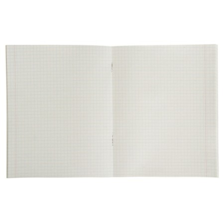 Notebook of 48 sheets in the Calligrata “car” cage, covered cardboard, block No. 2, whiteness 75% (gray sheets), mix-1