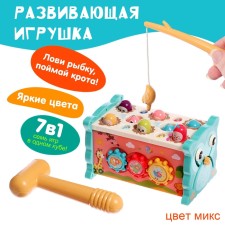 Developing toy 