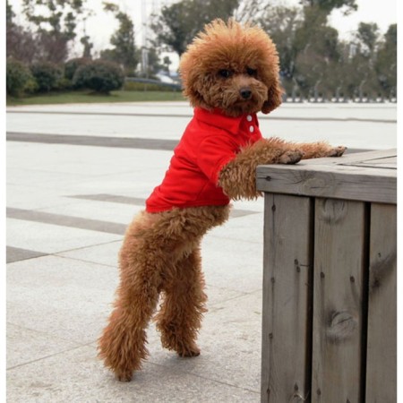 Animal T-shirt for animals, M (DS 30, OG 40, Osh 27 cm), red-1