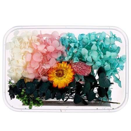 Set for creativity "Set of dried flowers" is large, pink + yellow + blue + green-4