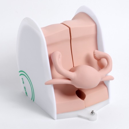 Vagina layout polled 19*13*17cm-6