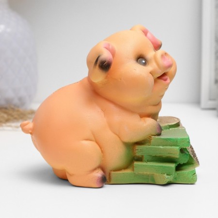 Piggy bank "Pig on money" mix 11cm-3