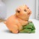 Piggy bank "Pig on money" mix 11cm