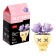 Designer "Flowers in a pot", 6 species, mix