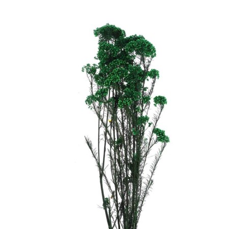 Sukhotzet "Ozotamnus" 60 g, the color is dark green-1