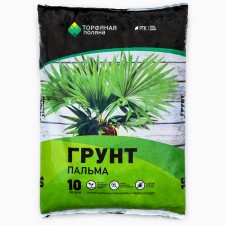 Soil Palm Palm 