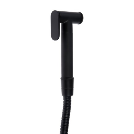 Accoona A3290F-2 mixer, with hygienic shower, wall, black-5
