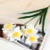 Artificial Flowers "Narcissus" 60 cm, white