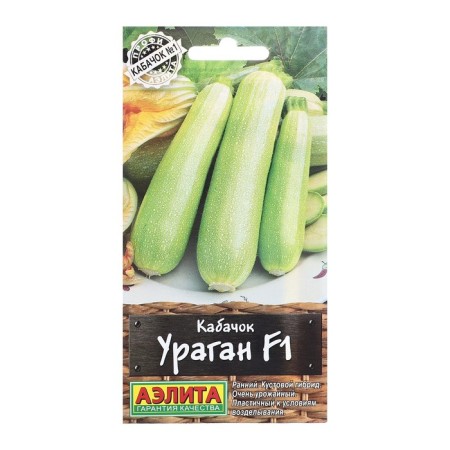 Semen zucchini tsukkini hurricane F1 prof-Aelita ts/n 5pcs