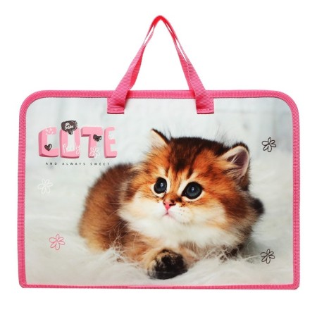Folder with A4 handles, 340 x 245 x 40 mm, plastic, handles, ONICS PT-14 Cute Kitty