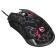Mouse Sunwind SW-M705G black optical (3600DPI) USB for a laptop (6but)